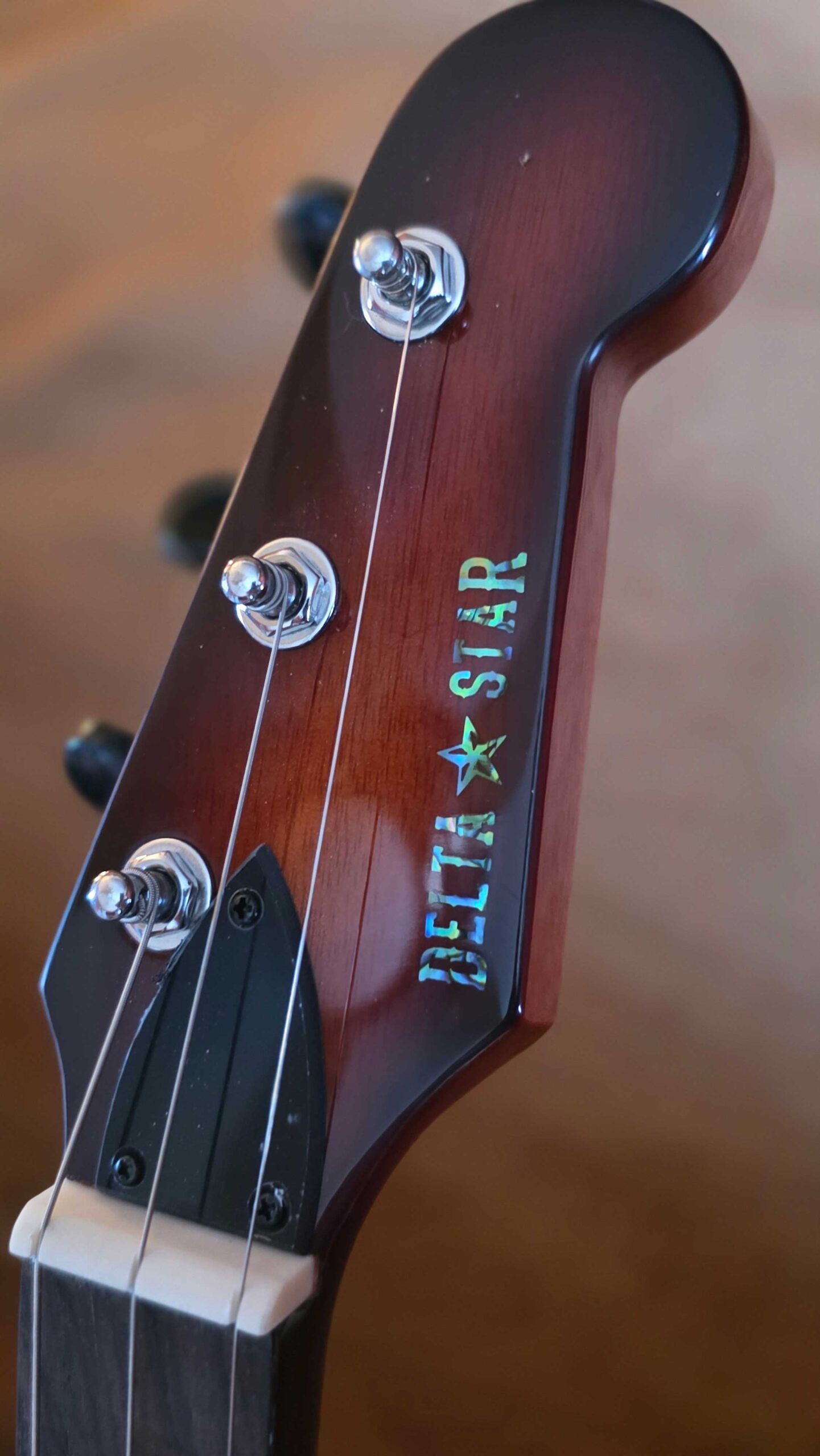 "Desperado" Pro Cigar Box Guitar & Hardshell Case - Image 2